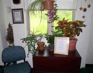 Click here to arrive at the Serenity Online Therapy Chat Room