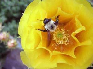 Self-care seems instinctual in nature but not with humans. Photo by Carl Benedict. 